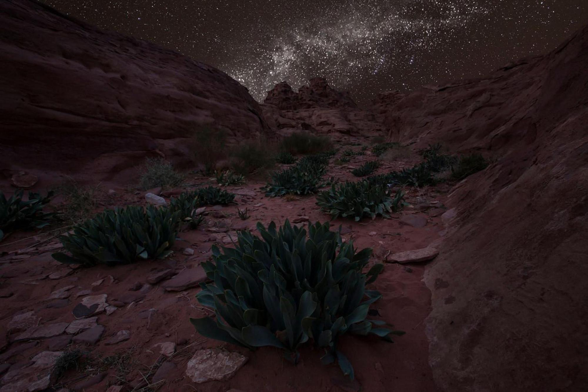 Wadi Rum Trail 外观 照片